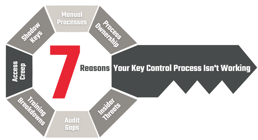 7 Reasons Graphic