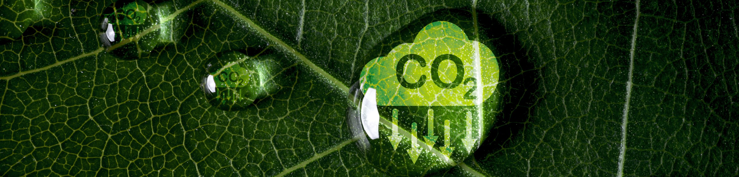 Co2 Reducing Icon [1471875503]_banner