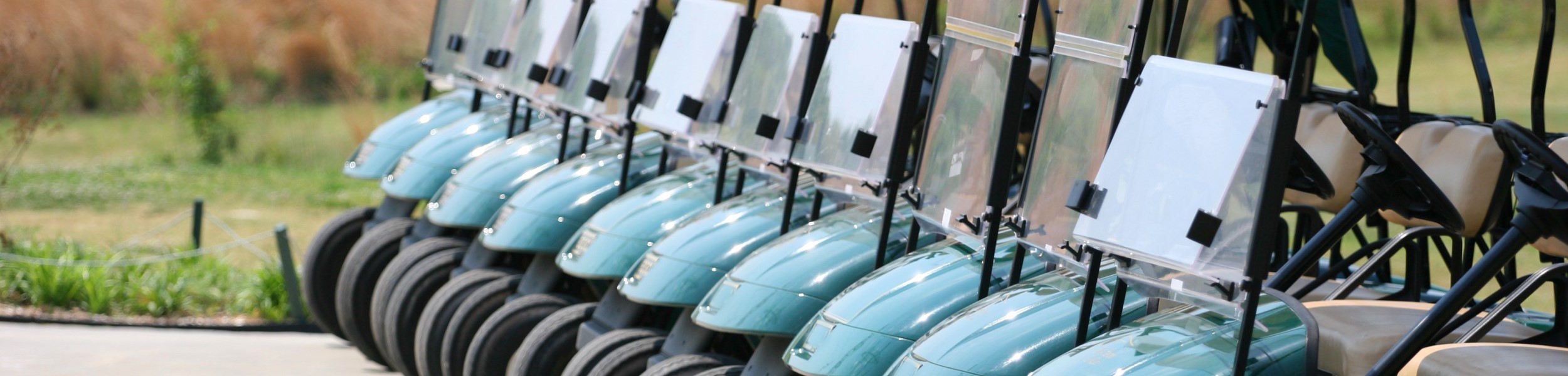 Row of golf carts